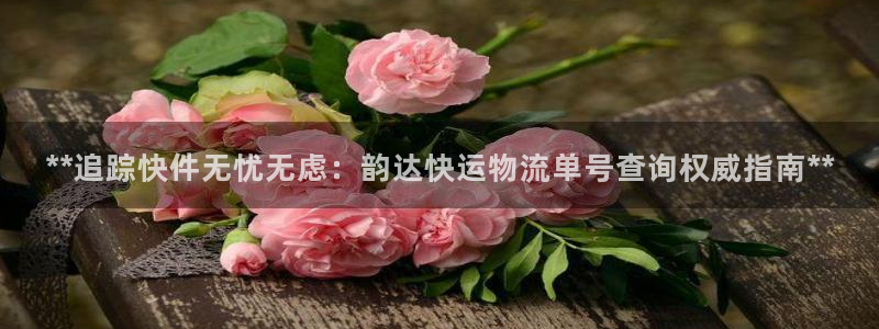 28圈网赌有什么风险：**追踪快件无