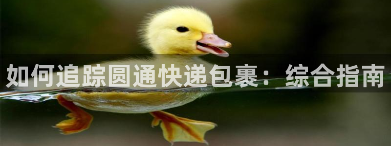 28圈反水