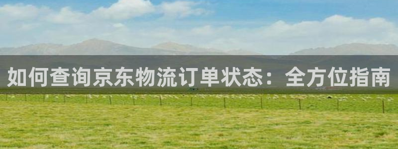 28圈.ccm正版：如何查询京东物流