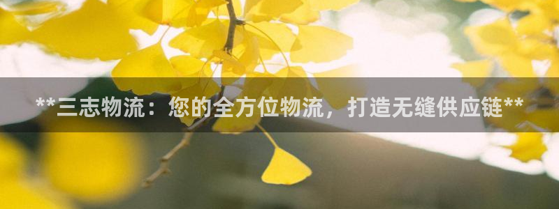 28圈提现不到账