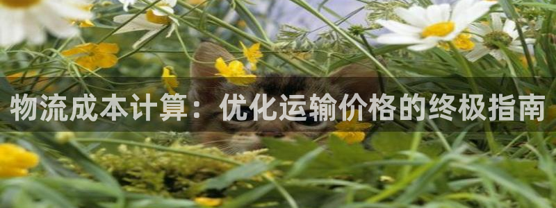 28圈游戏官网版