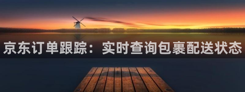 28圈加拿大预测：京东订单跟踪：实时