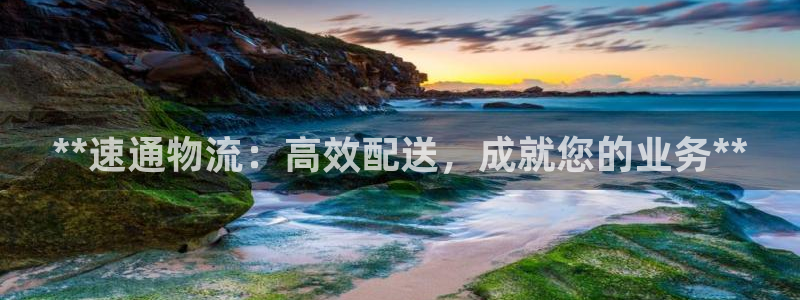 28圈为什么打不开：**速通物流：高