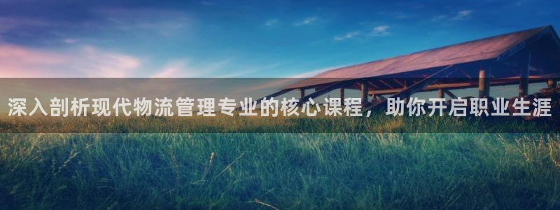 28圈ccm官网版：深入剖析现代物流