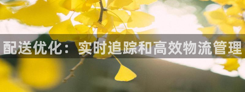28圈的平台：配送优化：实时追踪和高