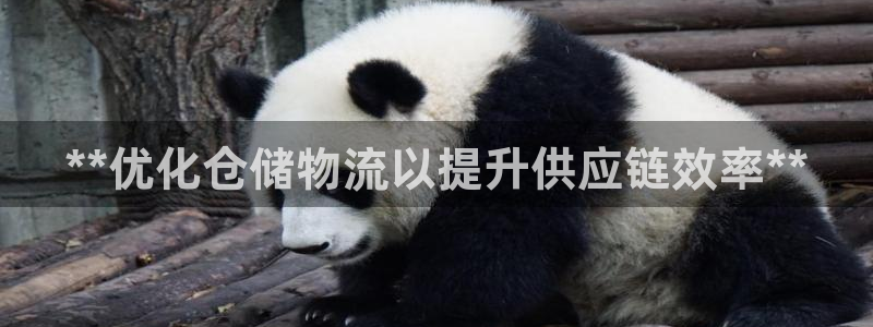 28圈注册网页：**优化仓储物流以提