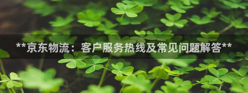 28圈怎么下载