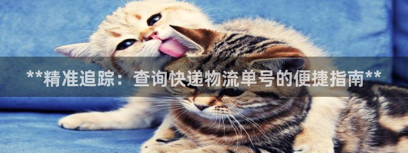 28圈龙虎：**精准追踪：查询快递物