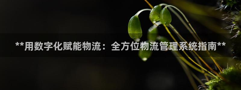 28圈.ccmo：**用数字化赋能物