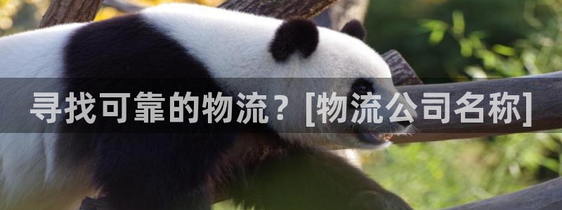 28圈大神预测：寻找可靠的物流？[物