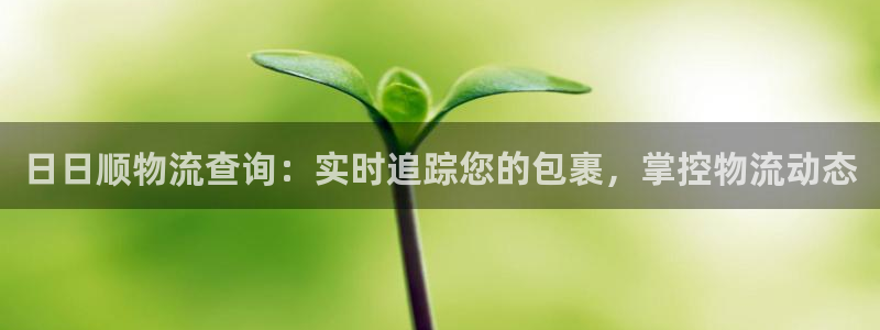 28圈加拿大模拟器：日日顺物流查询：