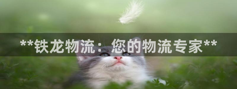 28圈加拿大app预测：**铁龙物流