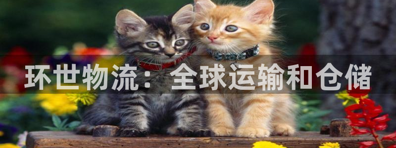 南宫28圈官网：环世物流：全球运输和