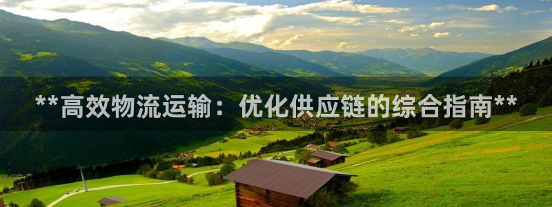 28圈玩法：**高效物流运输：优化供