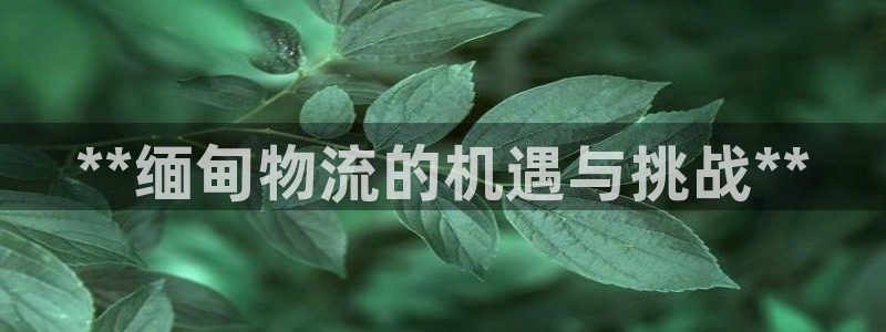 28圈注册网页版：**缅甸物流的机遇
