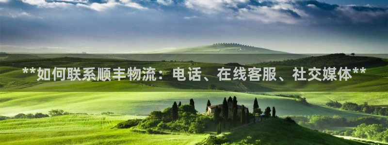 28圈注册教程：**如何联系顺丰物流