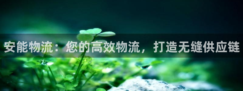 28圈娱乐官网网页入口：安能物流：您