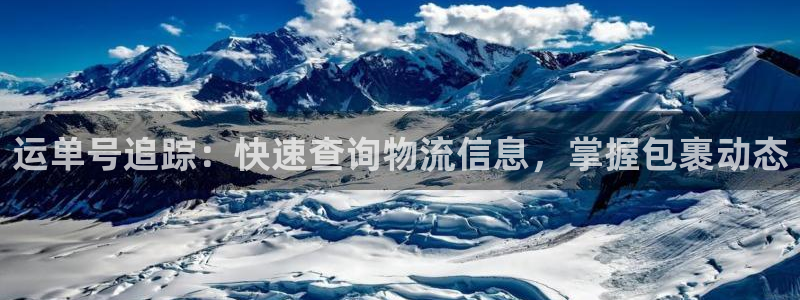 28圈注册登录流程：运单号追踪：快速