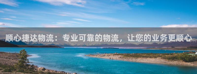 28圈加拿大走势：顺心捷达物流：专业