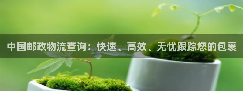 28圈麻将胡了：中国邮政物流查询：快