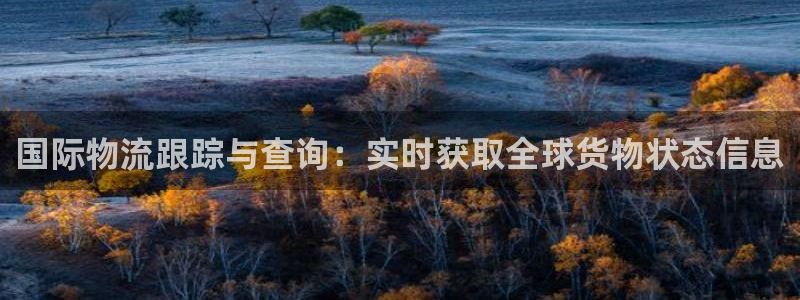 28圈app怎么注册账号：国际物流跟