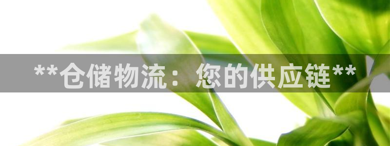 28圈p扣款什么意思：**仓储物流：
