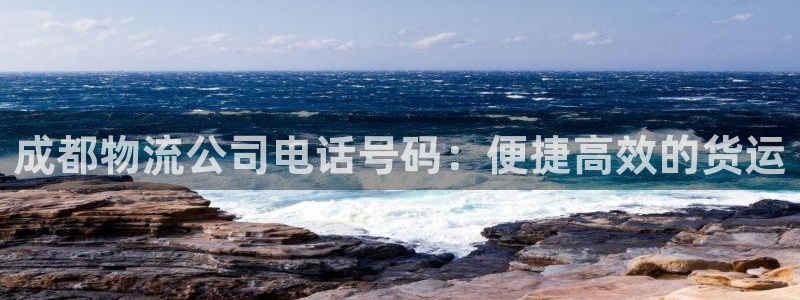28圈模拟器下载：成都物流公司电话号