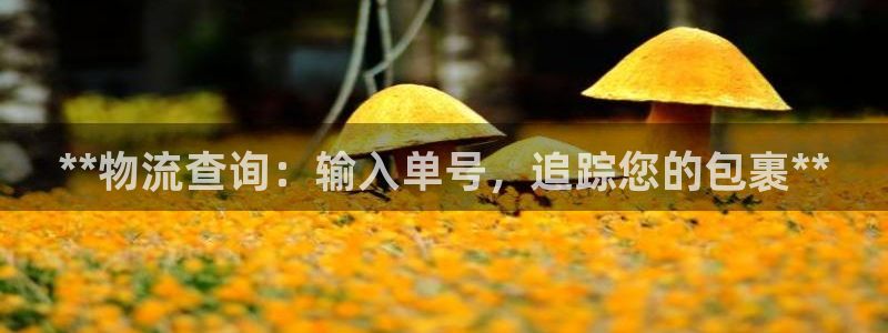 28圈注册条件：**物流查询：输入单