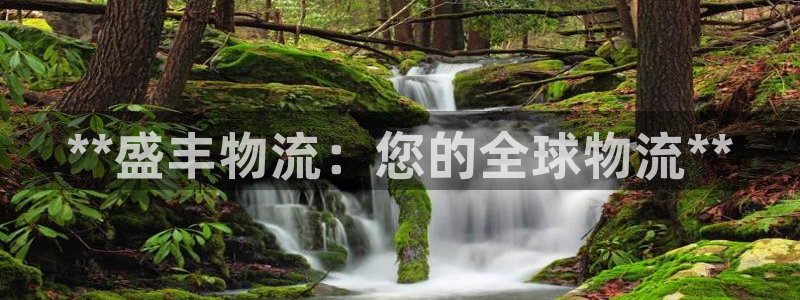 28圈是干嘛的：**盛丰物流：您的全
