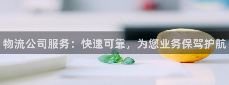 南宫28圈官网：物流公司服务：快速可