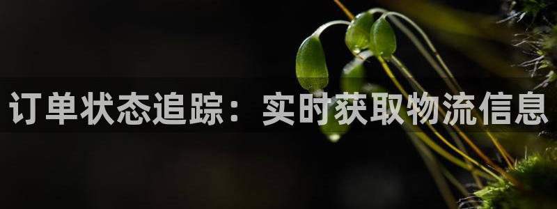 28圈PG电子游戏：订单状态追踪：实