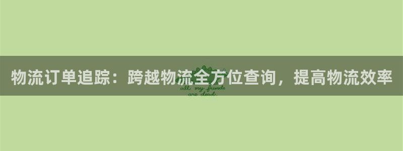 28圈口戒指是多大：物流订单追踪：跨