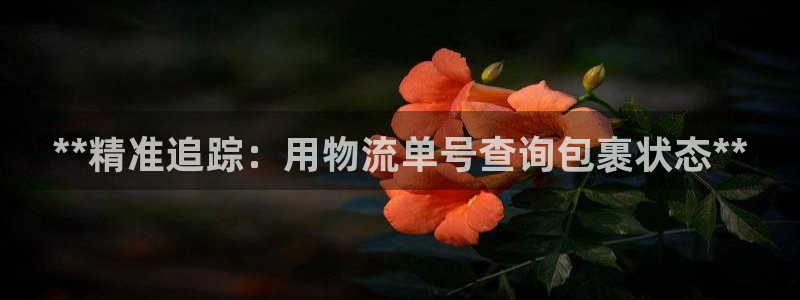 28圈技巧：**精准追踪：用物流单号