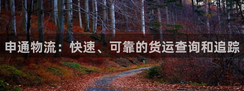 28圈官方网站是多少：申通物流：快速