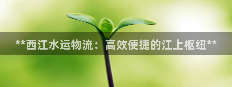 28圈能提现吗：**西江水运物流：高