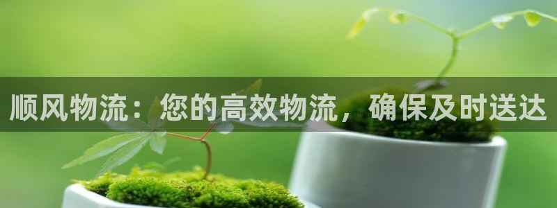 28圈圈助手：顺风物流：您的高效物流