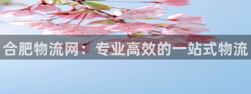28圈官方：合肥物流网：专业高效的一