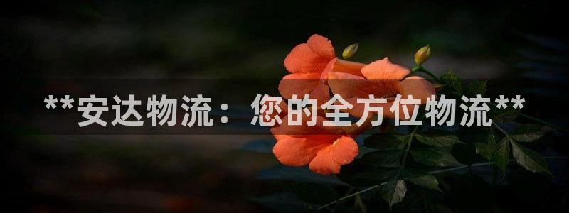 28圈稳吗：**安达物流：您的全方位