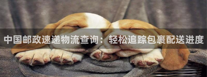 28圈能不能退：中国邮政速递物流查询