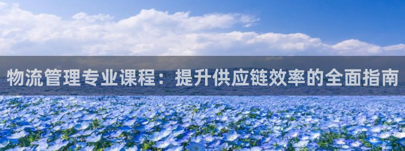28圈选28ng官网：物流管理专业课