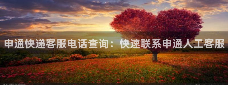 28圈能退款吗：申通快递客服电话查询