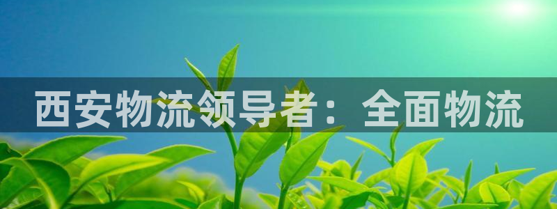28圈官方网站：西安物流领导者：全面