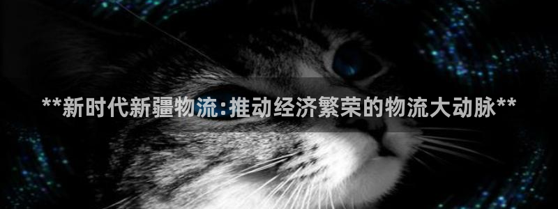 28圈注册二维码：**新时代新疆物流