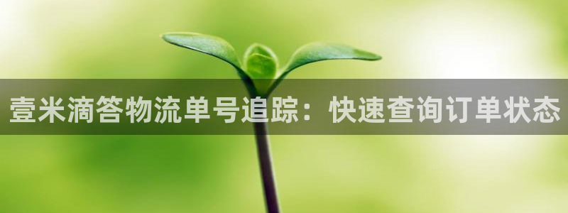 28圈充值不到账什么原因：壹米滴答物