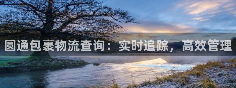 28圈官网开奖结果预测查询