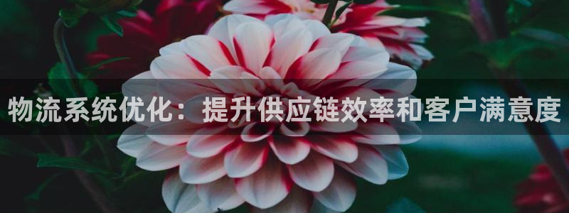 28圈黑钱：物流系统优化：提升供应链