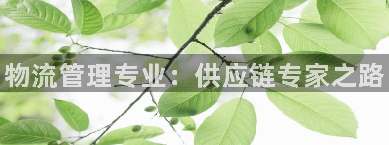 28圈下载二维码：物流管理专业：供应