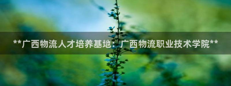 28圈注册用户名是什么：**广西物流