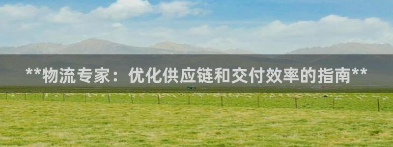 28圈注册官网：**物流专家：优化供
