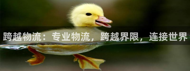 28圈是啥：跨越物流：专业物流，跨越